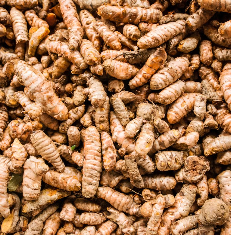 Discover the Benefits of Turmeric in Everyday Life, from wellness support to everyday cooking ideas, with Spice Bridge and Go 4 Export India.