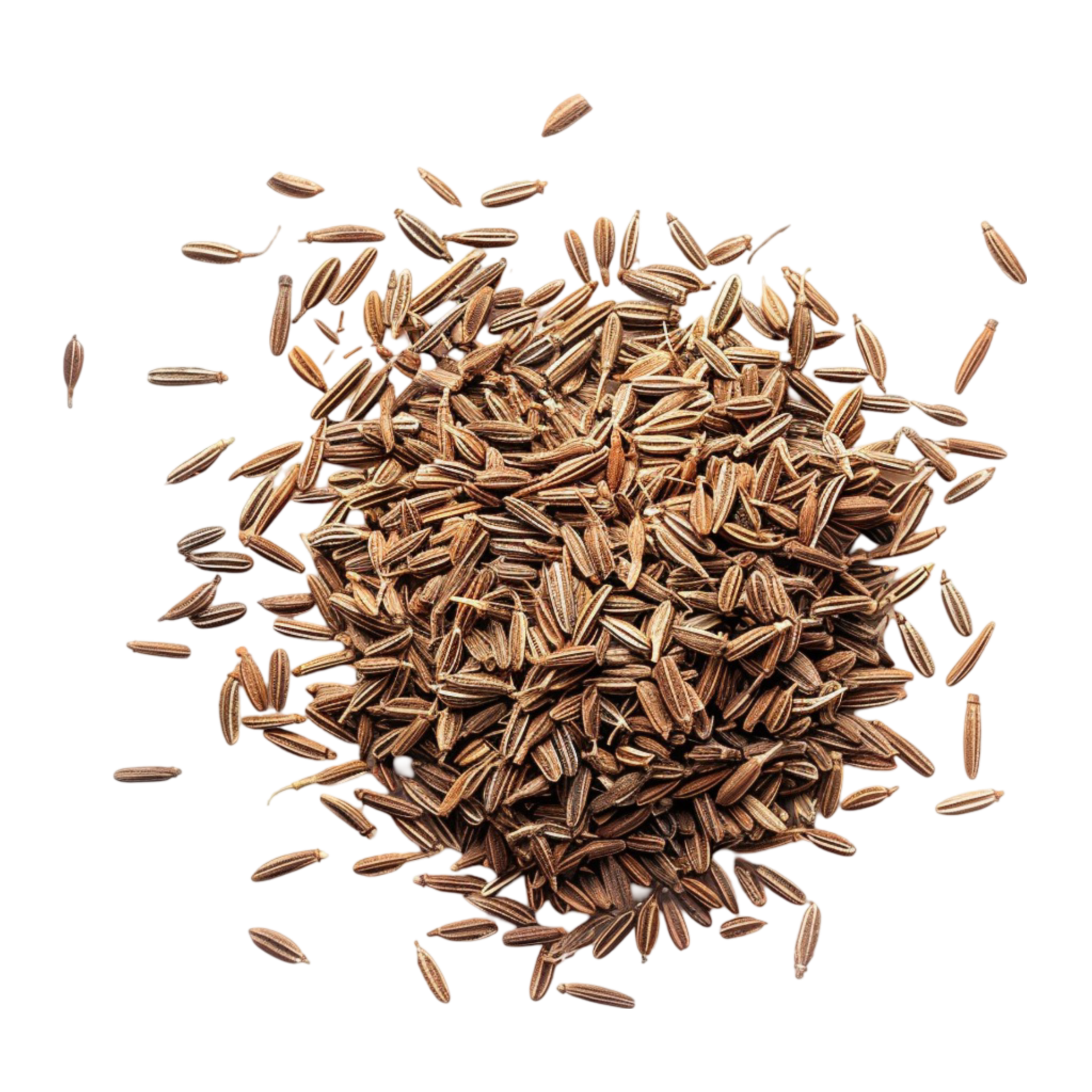cumin seeds